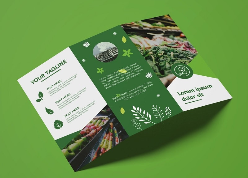 Các bước quan trọng trong thiết kế brochure chuyên nghiệp