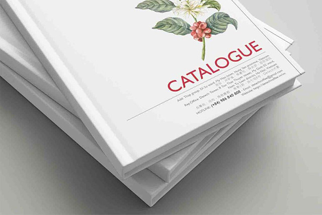 Cấu trúc nhiều lớp tạo nên độ cứng cáp của bìa cứng.
