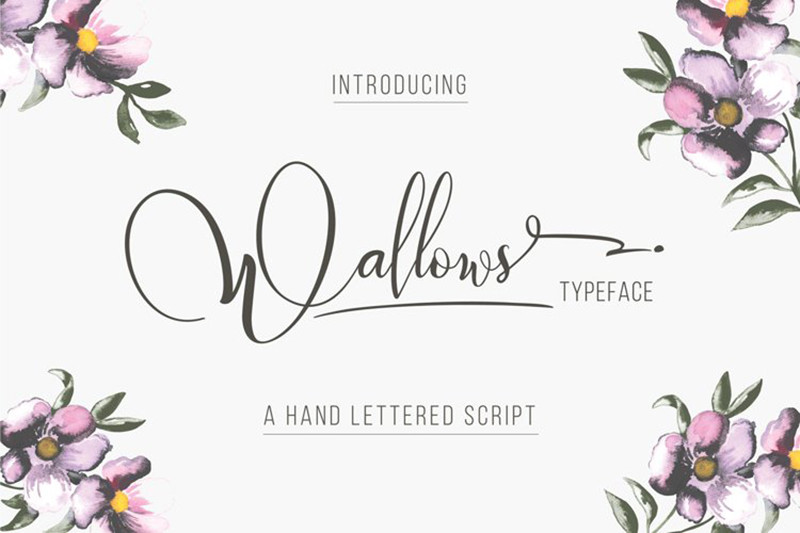 Font Wallows với nét chữ mềm mại, nghệ thuật cho tiêu đề