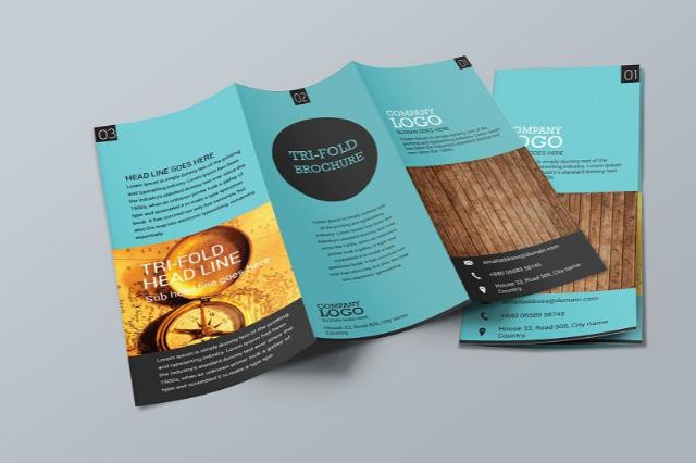 Hình ảnh minh họa kích thước brochure gấp ba (tri-fold) khổ A4 sau khi gấp