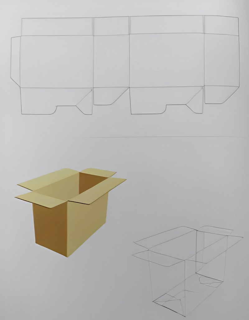 Hộp carton RSC đáy gài