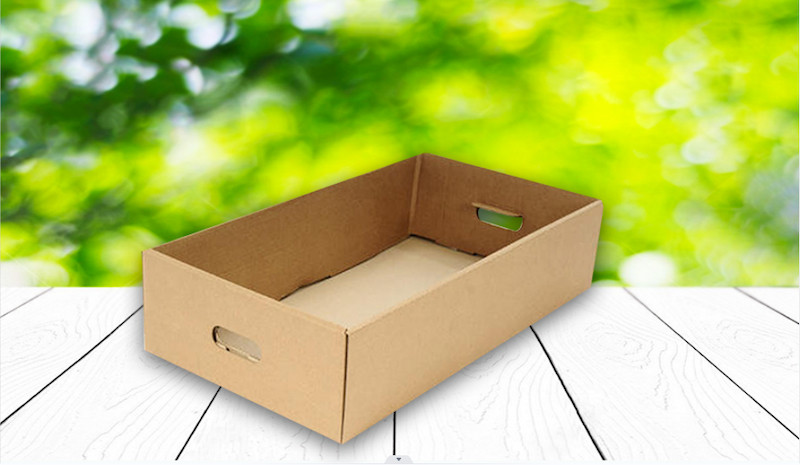 Hộp giấy carton dạng khay