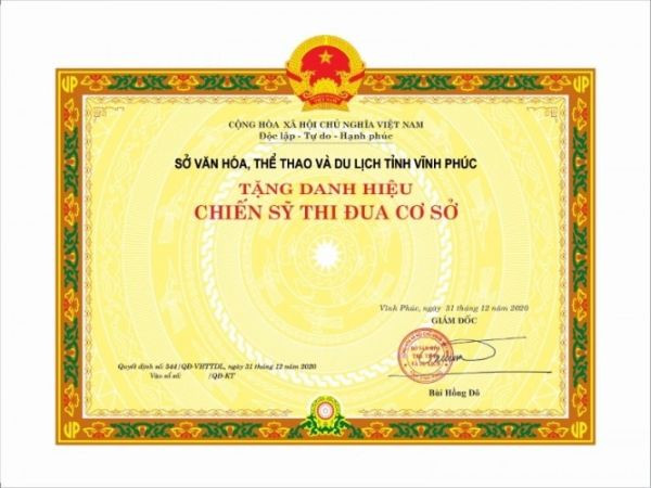 Mẫu phôi giấy khen trang trọng cho cơ quan Đảng hoặc UBND