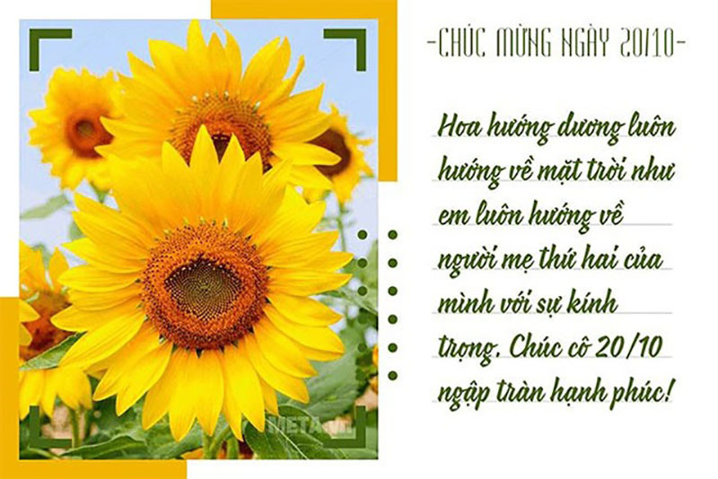 Mẫu thiệp 20/10 cho cô giáo với hình ảnh bút, sách