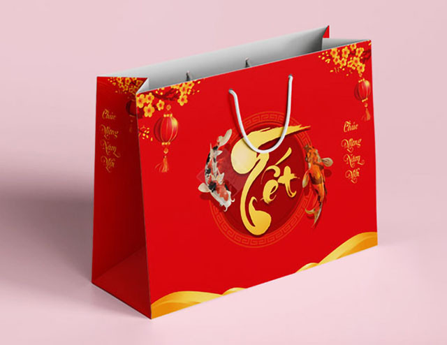 Mẫu túi đựng hộp quà tết 34