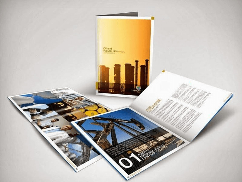 Minh họa sử dụng catalog trên nền tảng trực tuyến và website