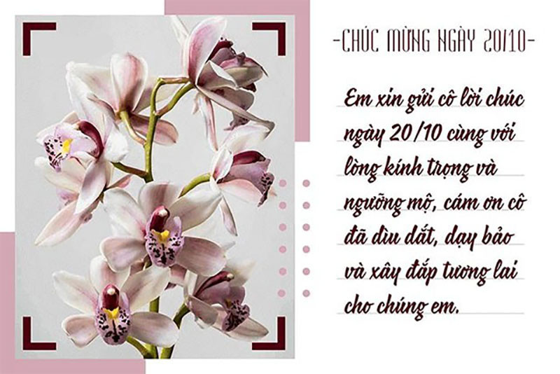 Thiệp 20/10 với hoa và lời chúc cho cô giáo