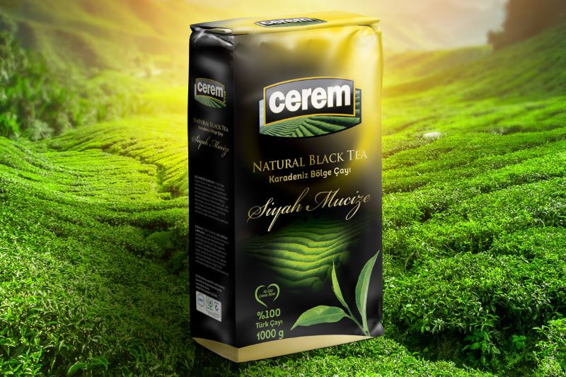 Thiết kế hộp quà đơn giản với hình ảnh lá cây trên nền đen