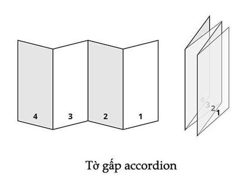 Tờ gấp Accordion